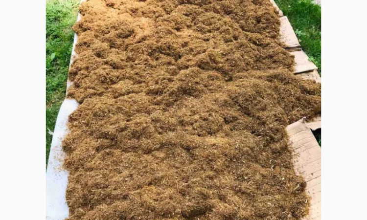 Продам импортный табак VIRGINIA GOLD, Венгерский - фото № 3