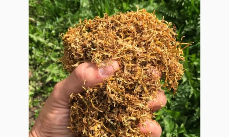 Продам импортный табак Турция, Болгария, Иран - фото № 3