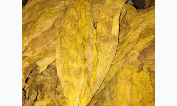 Продам импортный табак Кентукки ( Крепкий ) - фото № 2