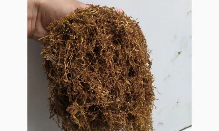 Продам импортный табак, Лёгкий, Средний, Крепкий - фото № 5