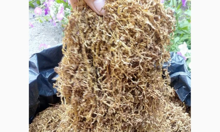 Інтернет-доставка тютюнової продукції — фабричний та ферментований тютюн - фото № 6