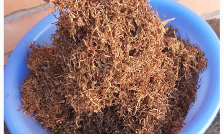 Інтернет-доставка тютюнової продукції — фабричний та ферментований тютюн - фото № 9