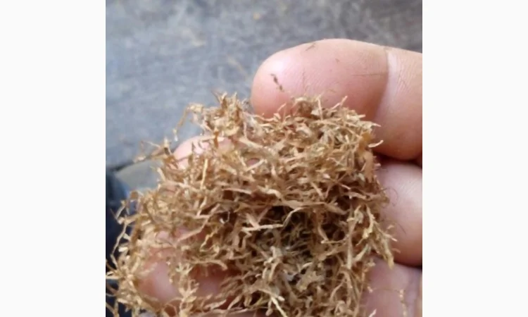 Інтернет-доставка тютюнової продукції — фабричний та ферментований тютюн - фото № 10