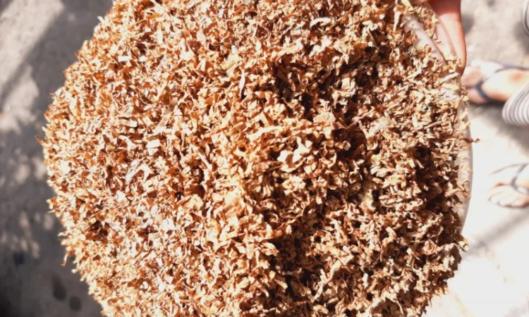 Продаж фабричного та ферментованого тютюну — широкий вибір сортів - фото № 2