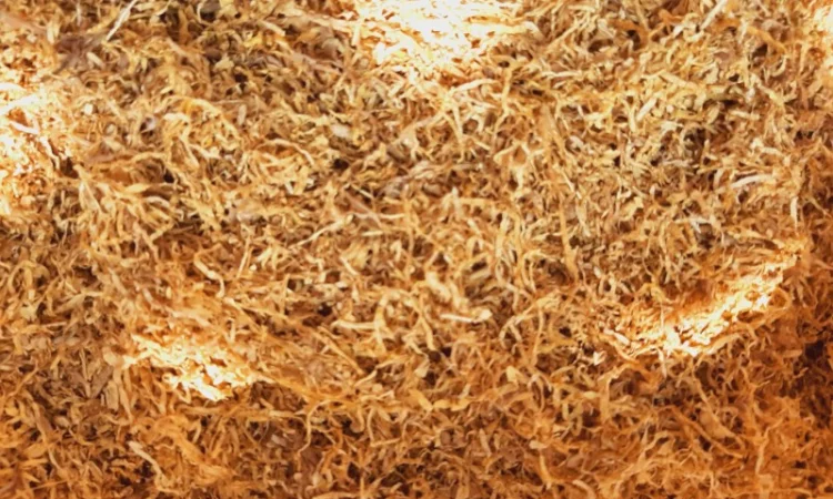 Продаж фабричного та ферментованого тютюну — широкий вибір сортів - фото № 7