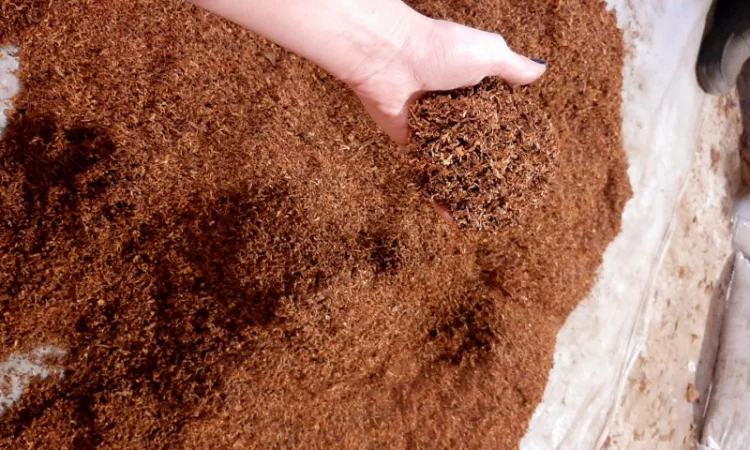 Честер и другие виды табака для сигарет 1 кг - фото № 2