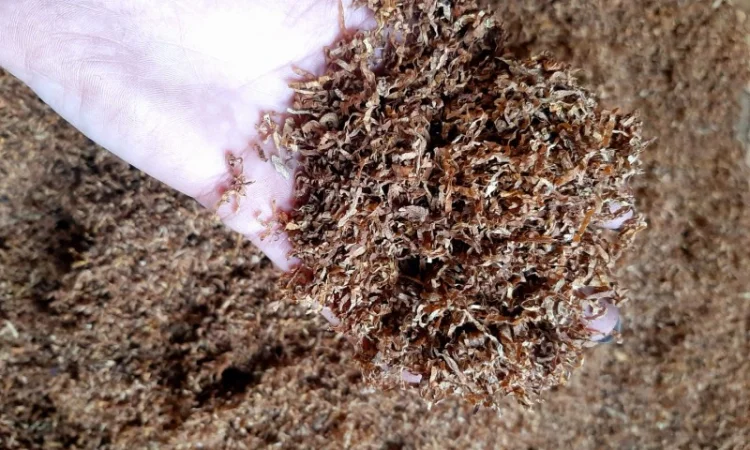 Честер и другие виды табака для сигарет 1 кг - фото № 10