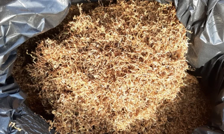 Честер и другие виды табака для сигарет 1 кг - фото № 6