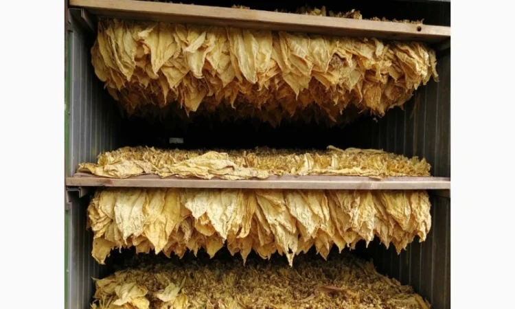 Акция ! ТАБАК ТУРЦИЯ для самокруток . Отличное сочетание цены и безупречного качества - фото № 4