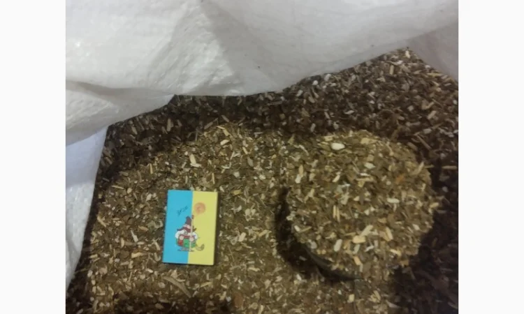 Куплю махорку для самокруток , самосад - фото № 1