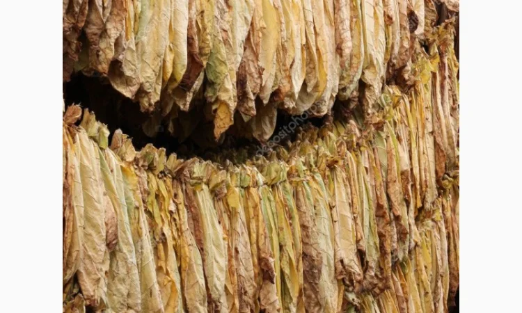 Табак в листе для самокруток - фото № 2