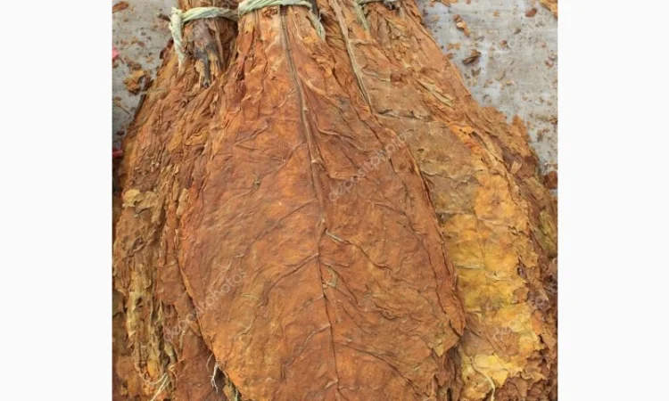 Продам табак листовой для самокруток - фото № 1