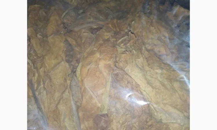 Продам табак для трубки - фото № 1