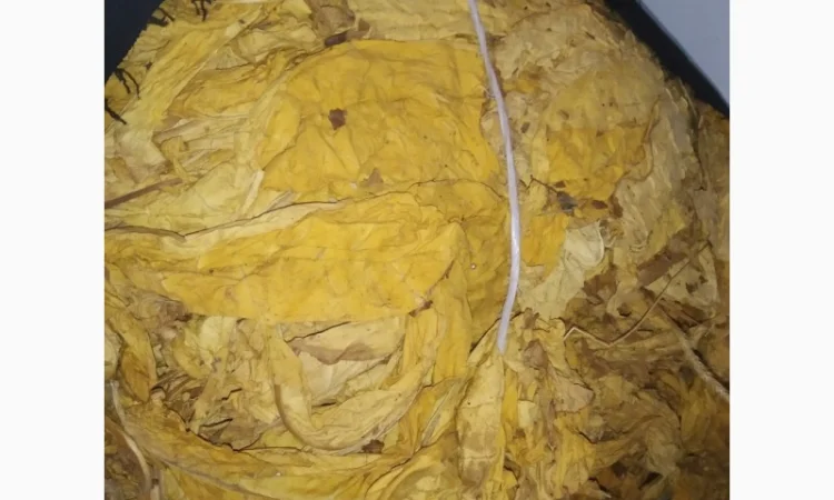 Продам табак для трубки - фото № 2