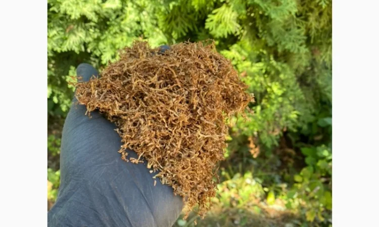 Добрый день!!! Хотим предложить Вам только первосортный табак - фото № 3