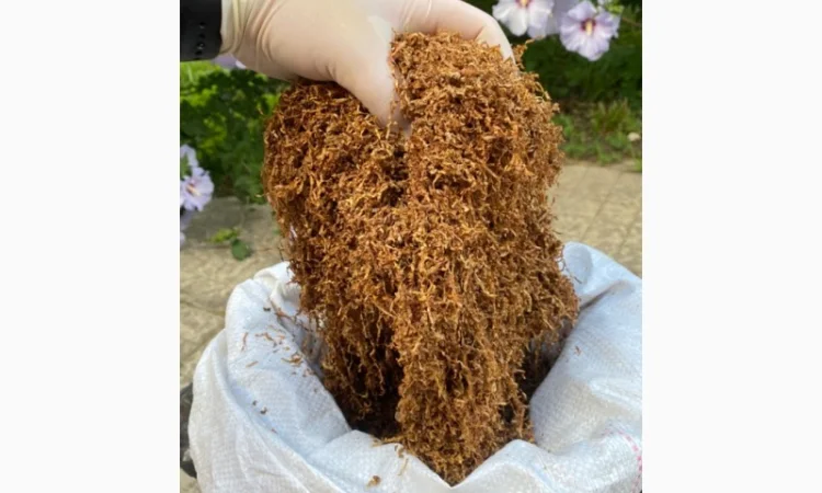 Табак для самокруток !!!Идеальное качество///много сортов Импорт, Запорожье - фото № 8