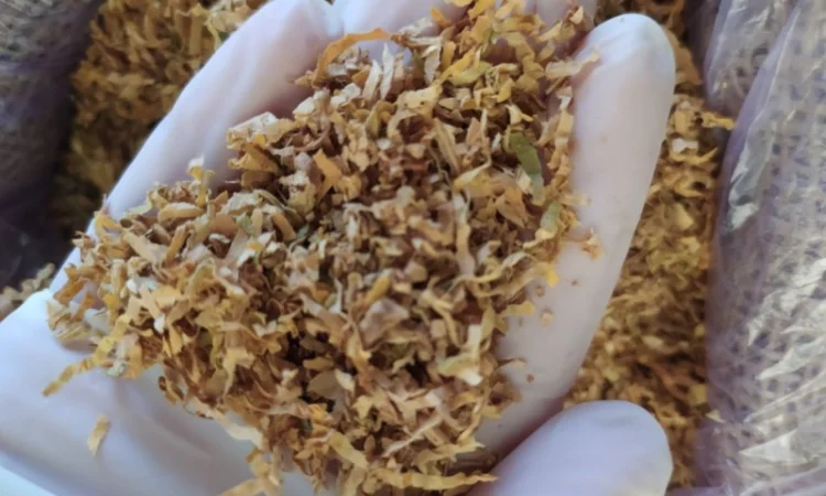 Першосортний ферментований тютюн різних сортів та міцності - фото № 2