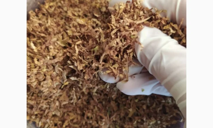 Першосортний ферментований тютюн різних сортів та міцності - фото № 3