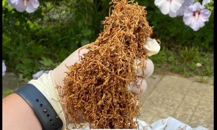 Широкий ассортимент фабричных табаков для сигарет 1 кг: CAMEL, Marlboro, Winston… - фото № 6