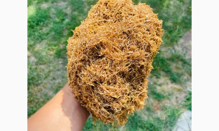 Продам импортный табак (Болгария, Турция) — опт и розница - фото № 10