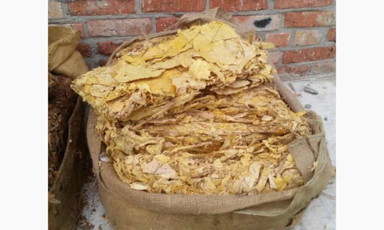 Продам импортный табак  для  сигарет 1 кг, оптом Вирджиния Голд - фото № 3