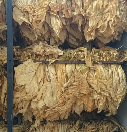 Продам импортный табак  для  сигарет 1 кг, оптом Вирджиния Голд - фото № 4