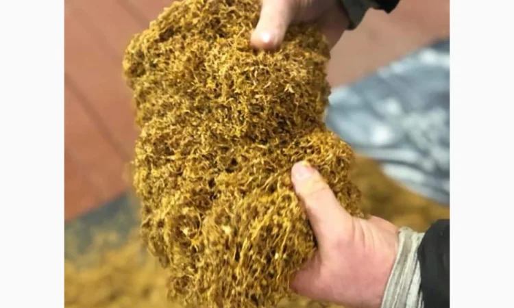 Продам импортный табак. Высокого качества - фото № 1