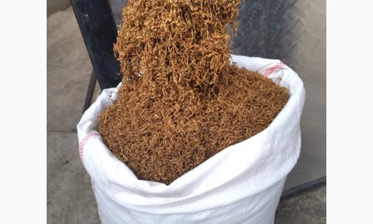 Табак импортный Вирджиния голд, хлопья, лапша, для сигарет 1 кг - фото № 9