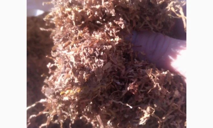 Продам тютюн для самокруток - фото № 3