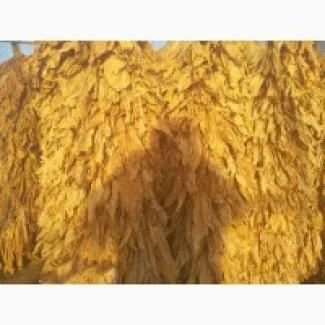 Пакистанский Табак для сигарет 1 кг. Опт и розница. Для сигарет и самокруток - фото № 2