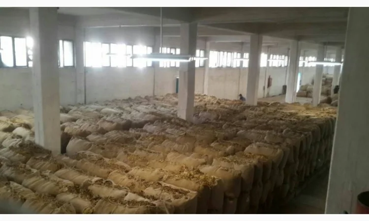 Табак Пакистан для самокруток . Качество - фото № 3