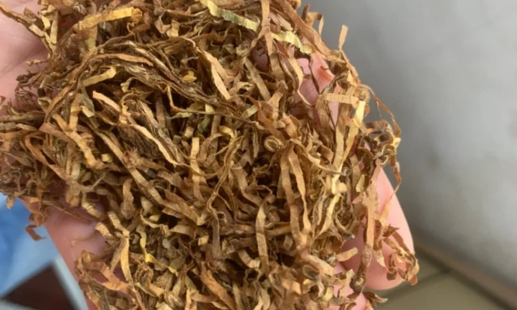 Куплю тютюн для сигарет 1 килограмм - фото № 2