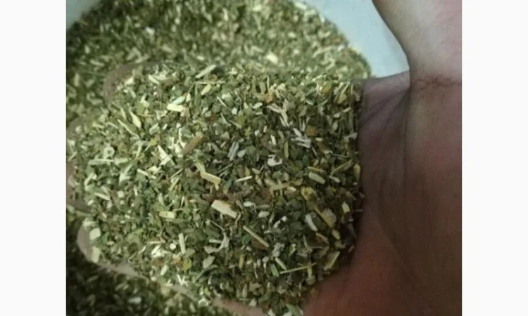 Продать махорку - фото № 1