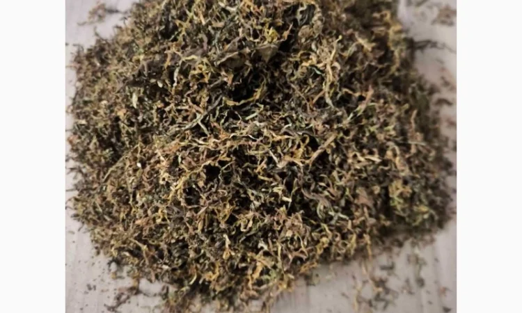 Продаж якісного тютюна качество хороше , для сигарет 1 кг , опт - фото № 4