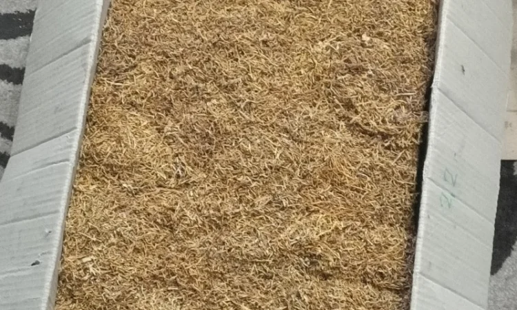 Продам тютюн для трубкі - фото № 1