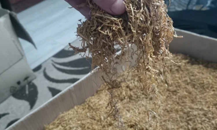 Продам тютюн для трубкі - фото № 2