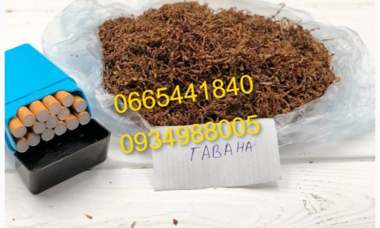 Табак розница Гавана Дюбек Вирджиния Руно Голд Винстон Кап Блек Кемел - фото № 8