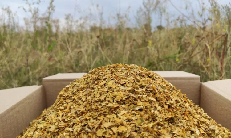 Продам табак для сигарет 1 кг , только оптом 280 грн кг - фото № 4