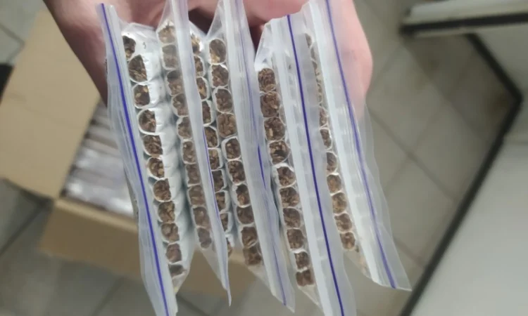 Качество топ - фото № 4