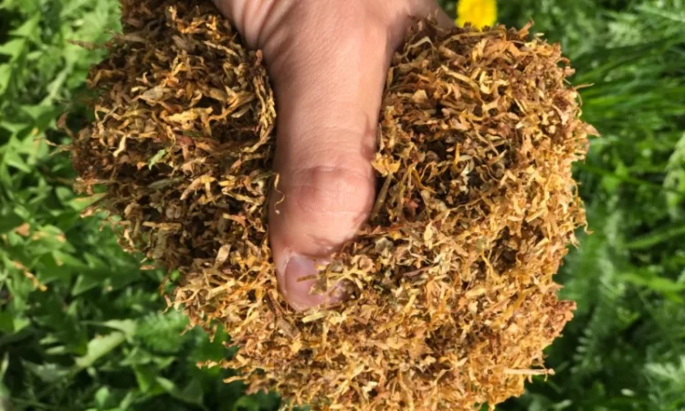 Продам табак Вірджінія, Берлі для самокруток 1 кг - фото № 1