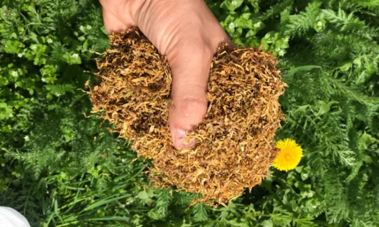 Продам табак Вірджінія, Берлі для самокруток 1 кг - фото № 2