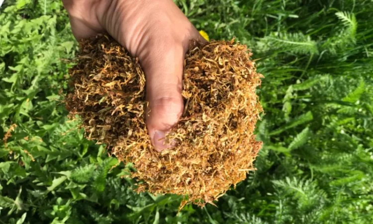 Продам табак Вірджінія, Берлі для самокруток 1 кг - фото № 5