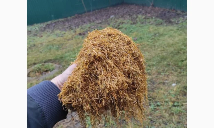 Продам табак  для сигарет 1 кг, в розницу и оптом 310 - фото № 7