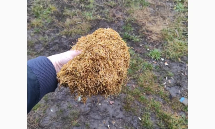 Продам табак  для сигарет 1 кг, в розницу и оптом 310 - фото № 4