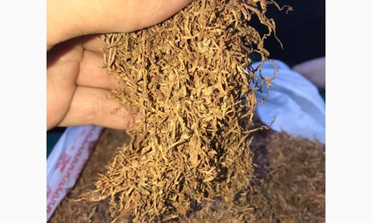 Тютюн «Берлі», «Вірджинія», «Угорський», «Тернопільський» від 250 грн - фото № 2