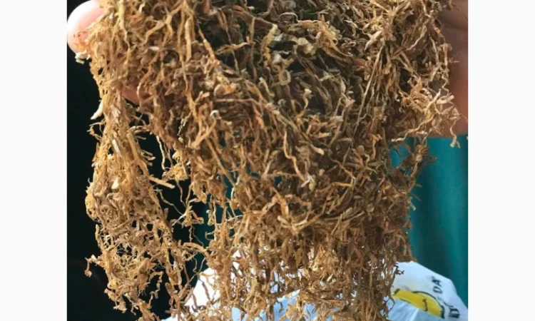 Продам табак для самокруток  Вирджиния средней крепости - фото № 4