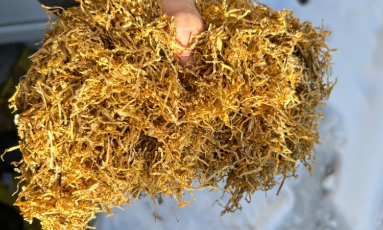 Фабричный табак для самокруток  Прилуки, Винстон, Мальборо 180 грн - фото № 1