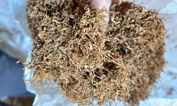 Фабричный табак для самокруток  Прилуки, Винстон, Мальборо 180 грн - фото № 3