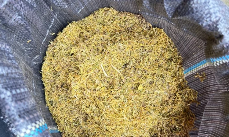 Продаю Фабричный табак Мальборо, Винстон, Кемел, Прилуки, Давидов для самокруток - фото № 6