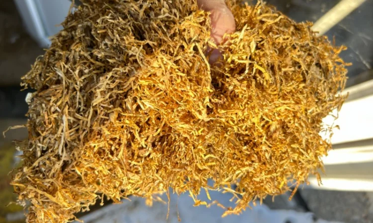 Продам табак для сигарет 1 кг  Вирджиния Голд, Вирджиния (шоколад), Прилуки - фото № 4